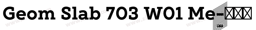 Geom Slab 703 W01 Me字体转换